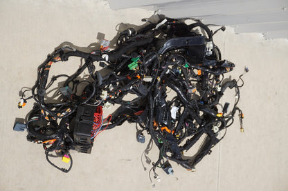 2021 - 2023 Polestar 2 Body Wire Harness Loom OEM