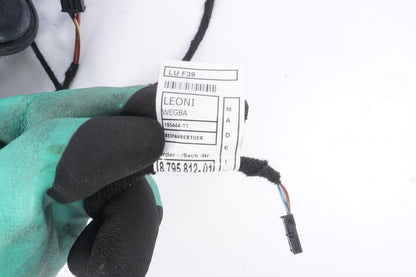 2018 - 2019 BMW X2 F39 FRONT RIGHT PASSENGER SIDE DOOR WIRE WIRING HARNESS OEM