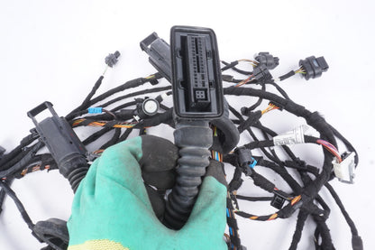 2018 - 2019 BMW X2 F39 FRONT RIGHT PASSENGER SIDE DOOR WIRE WIRING HARNESS OEM