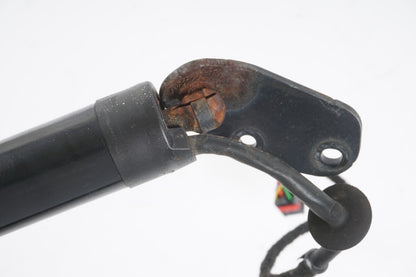 2011-2014 PORSCHE CAYENNE Trunk Tailgate Lift Shock Strut Left & Right  OEM