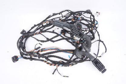 2018 - 2019 BMW X2 F39 FRONT RIGHT PASSENGER SIDE DOOR WIRE WIRING HARNESS OEM