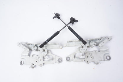 2012 - 2018 BMW 650i 640i Hood Hinge Left & Right OEM
