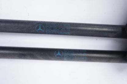 2012 - 2015 Mercedes E350 Front Hood Support Strut Shock Set of 2 OEM