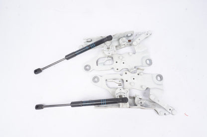 2011 - 2018 BMW 5 6 SERIES F06 F10 - FRONT HOOD LEFT & RIGHT HINGES PAIR SET OEM